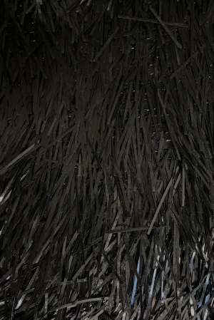 Black Sticks