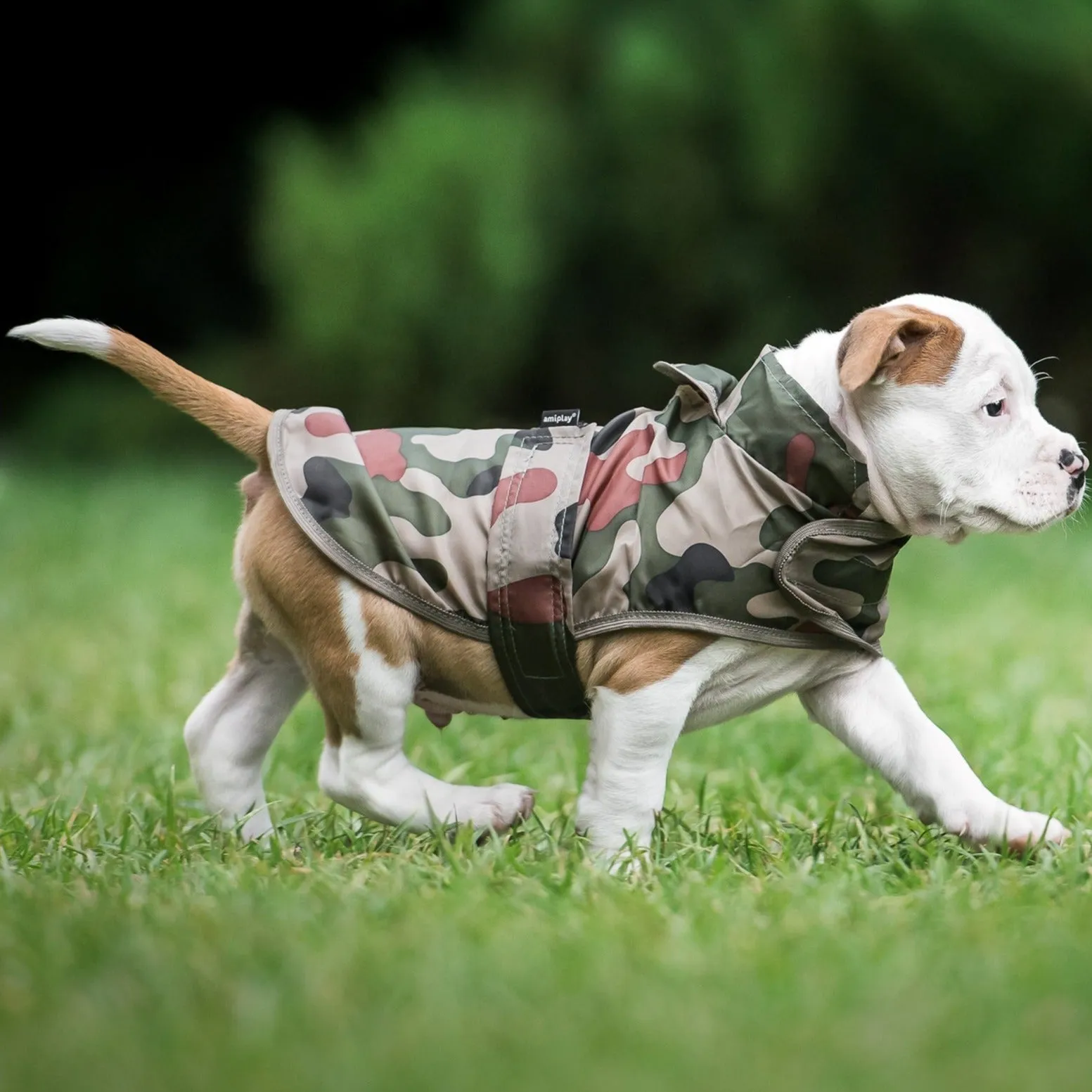 Camo Raincoat - Bristol