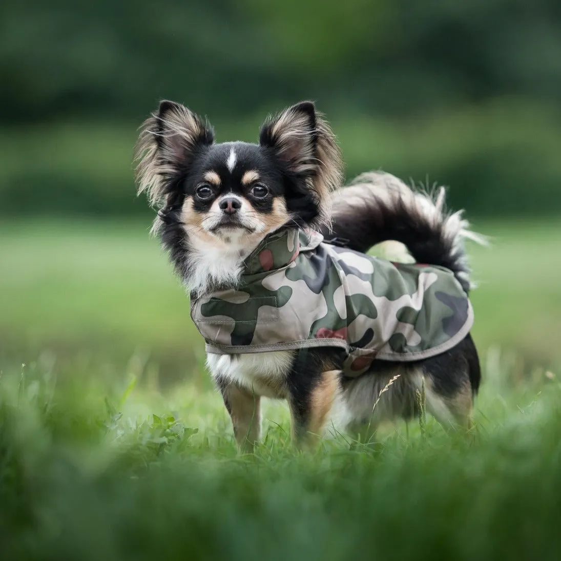 Camo Raincoat - Bristol