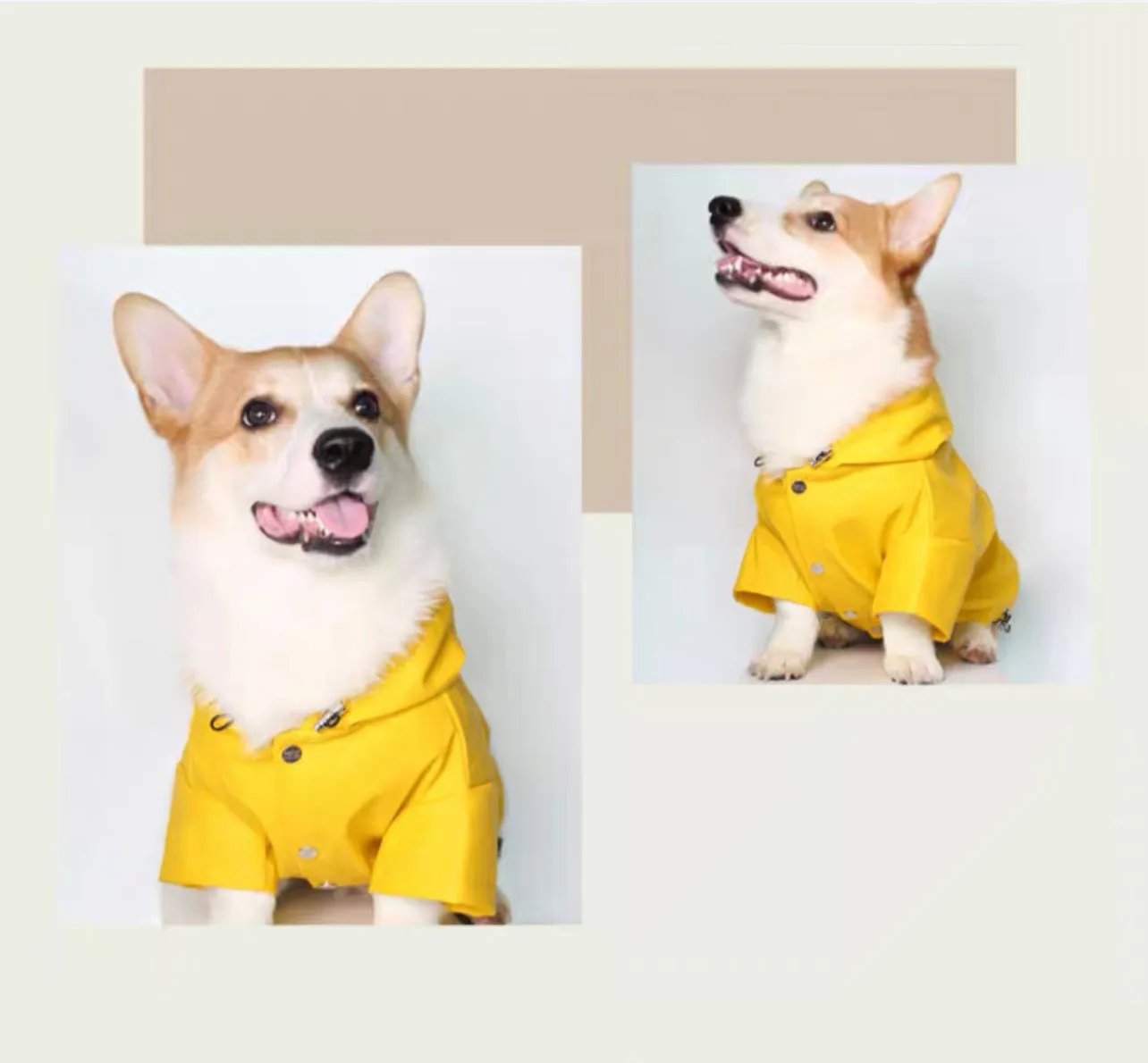 Dog Raincoats Wind Waterproof with adjustable neck and bottom
